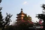 楚雄師范學(xué)院——雁塔夕陽(yáng)