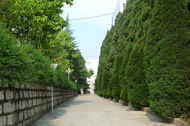 文山學院校園風光_校園道路