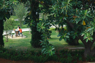 文山學院校園風光_中心花園