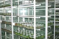 文山學院校園風光_生物實驗室