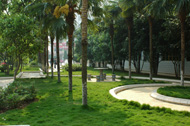 文山學院校園風光_中心花園