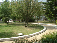 文山學院校園風光_中心花園
