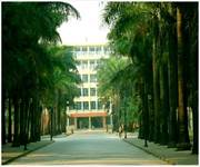德宏師范高等專科學(xué)校——綠樹成蔭的校園