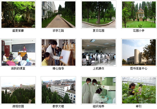 云南農業(yè)職業(yè)技術學院——校園風光1