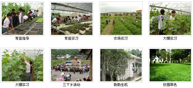 云南農業(yè)職業(yè)技術學院——校園風光2