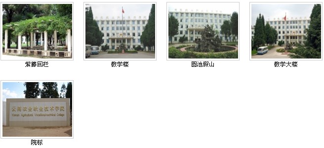 云南農業(yè)職業(yè)技術學院——校園風光3