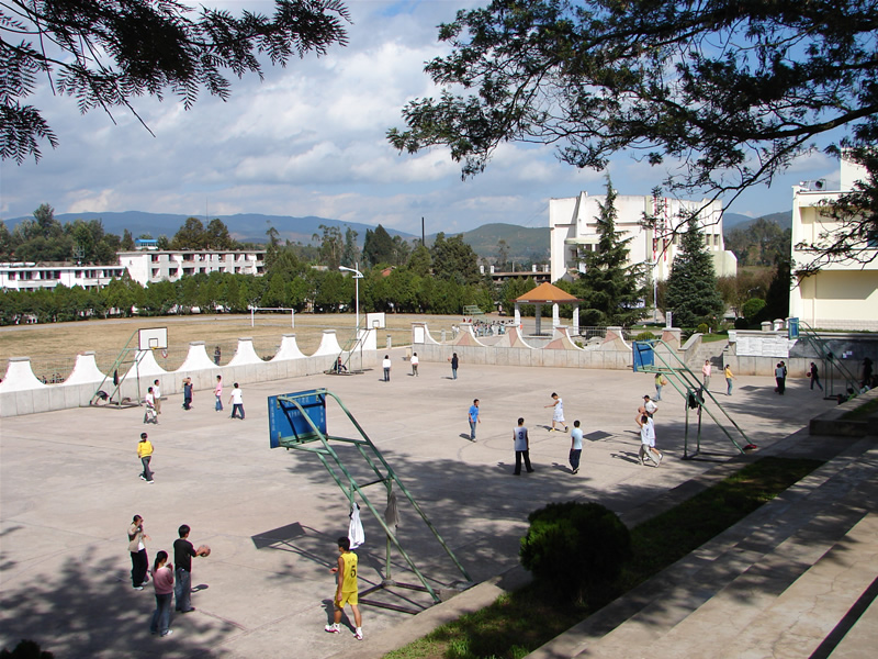 楚雄醫(yī)藥高等專科學校_校園風光